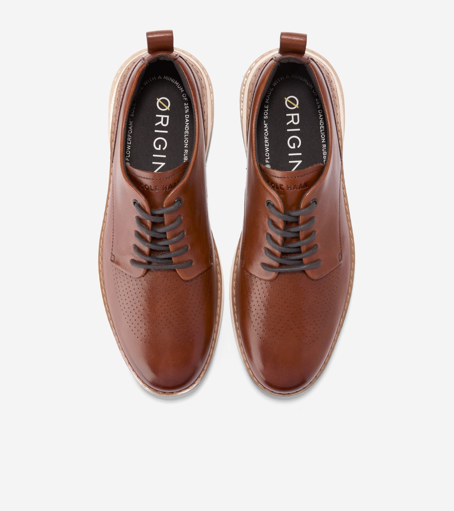 C40491:BRITISH TAN / IVORY / CH DARK CHOCOLATE