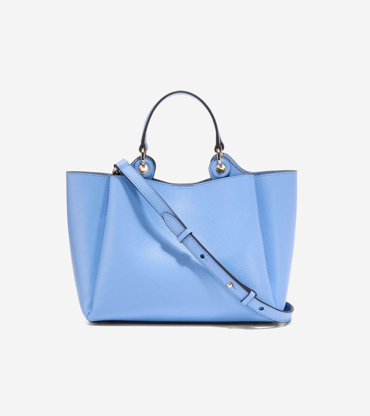 U08237:HYDRANGEA:0000