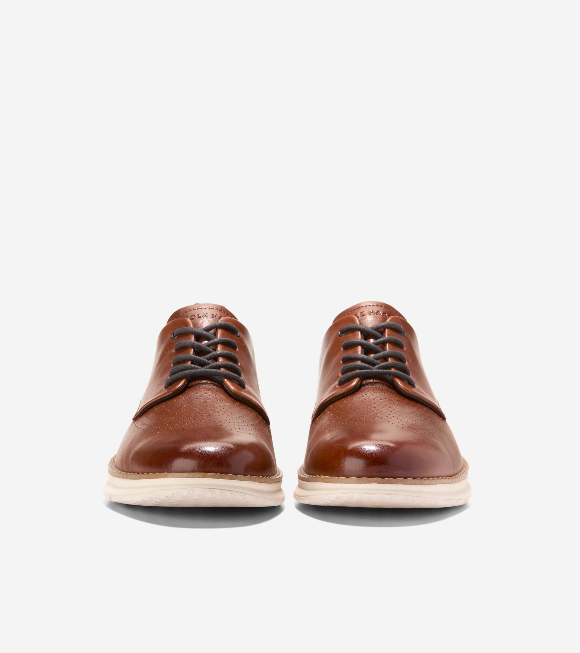 C40491:BRITISH TAN / IVORY / CH DARK CHOCOLATE