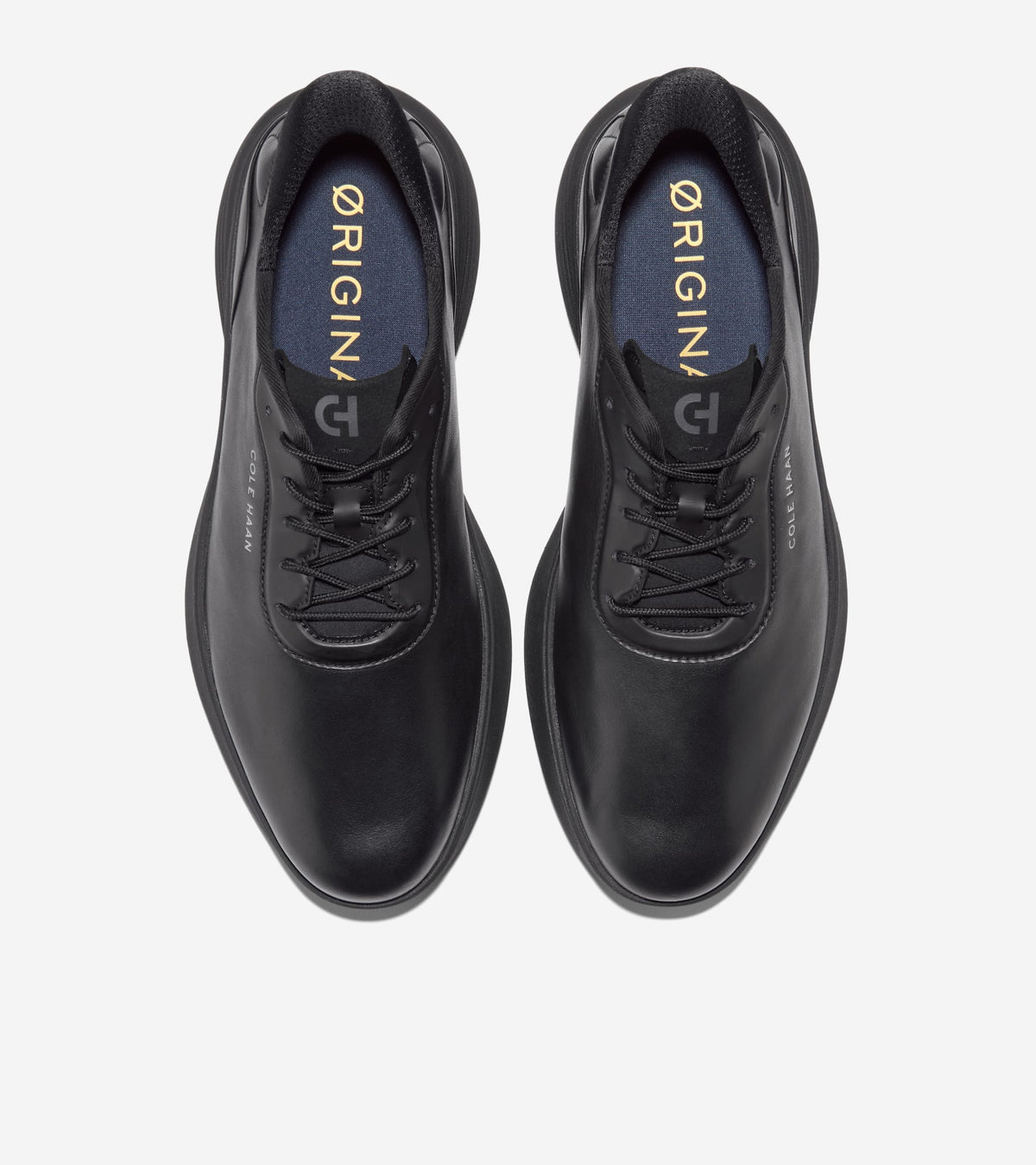 C44008:BLACK / BLACK