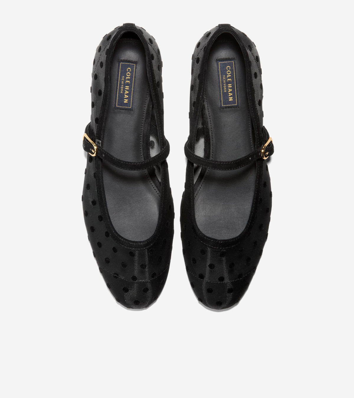 W37941:BLACK POLKA DOT MESH / BLACK SUEDE