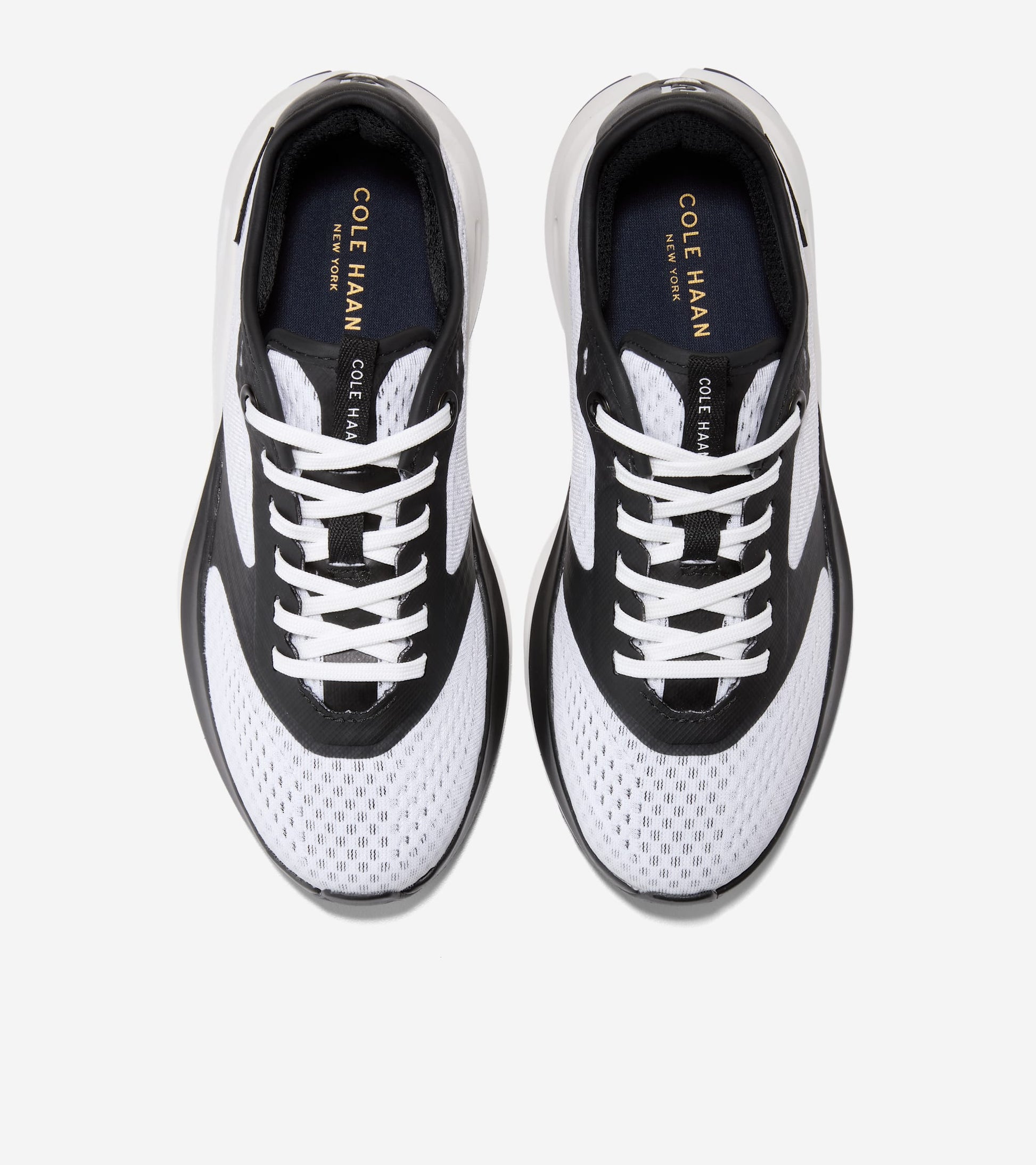 W37713:BLACK / WHITE