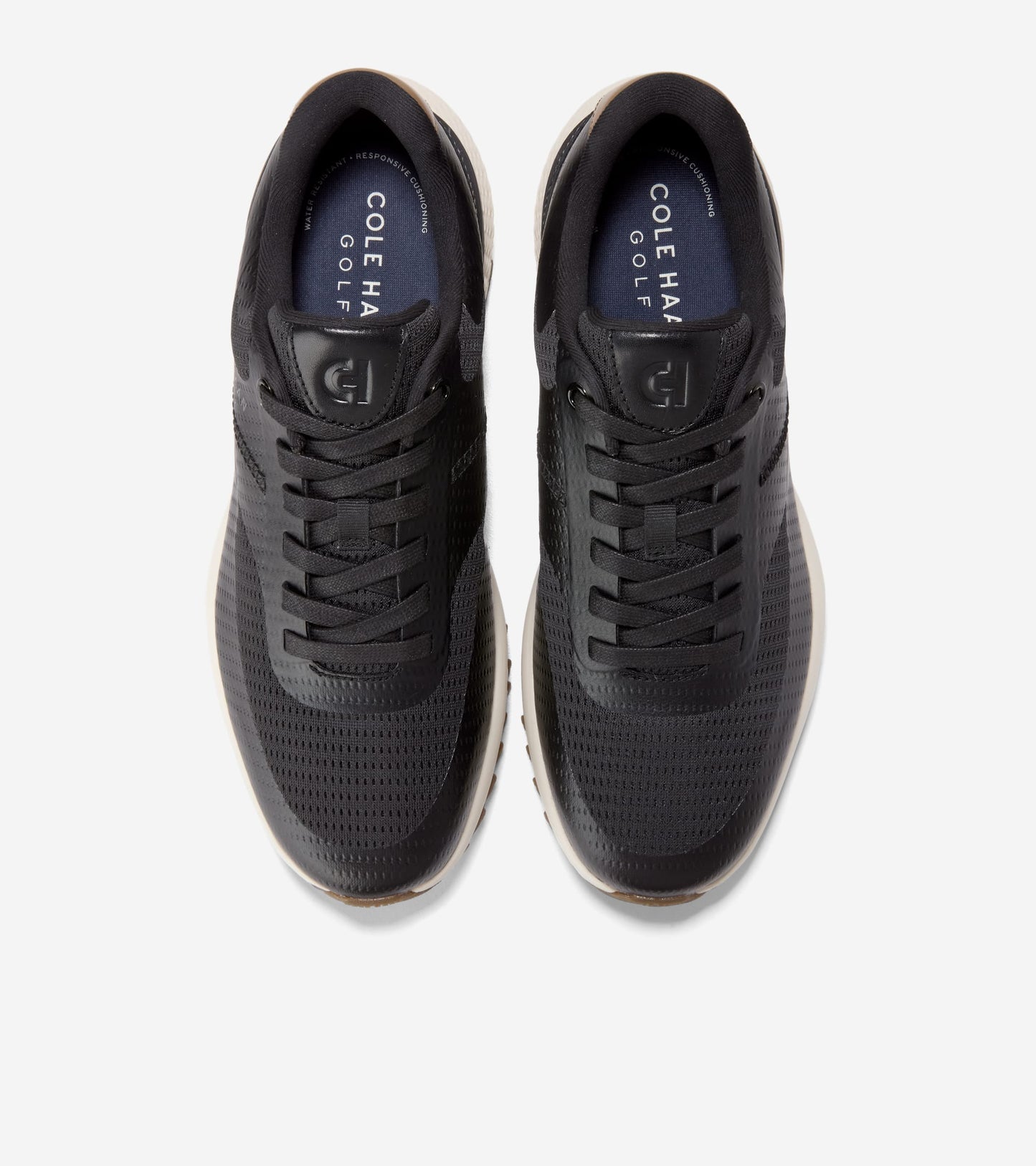 C43886:BLACK / CH LT WHISKEY / IVORY WR