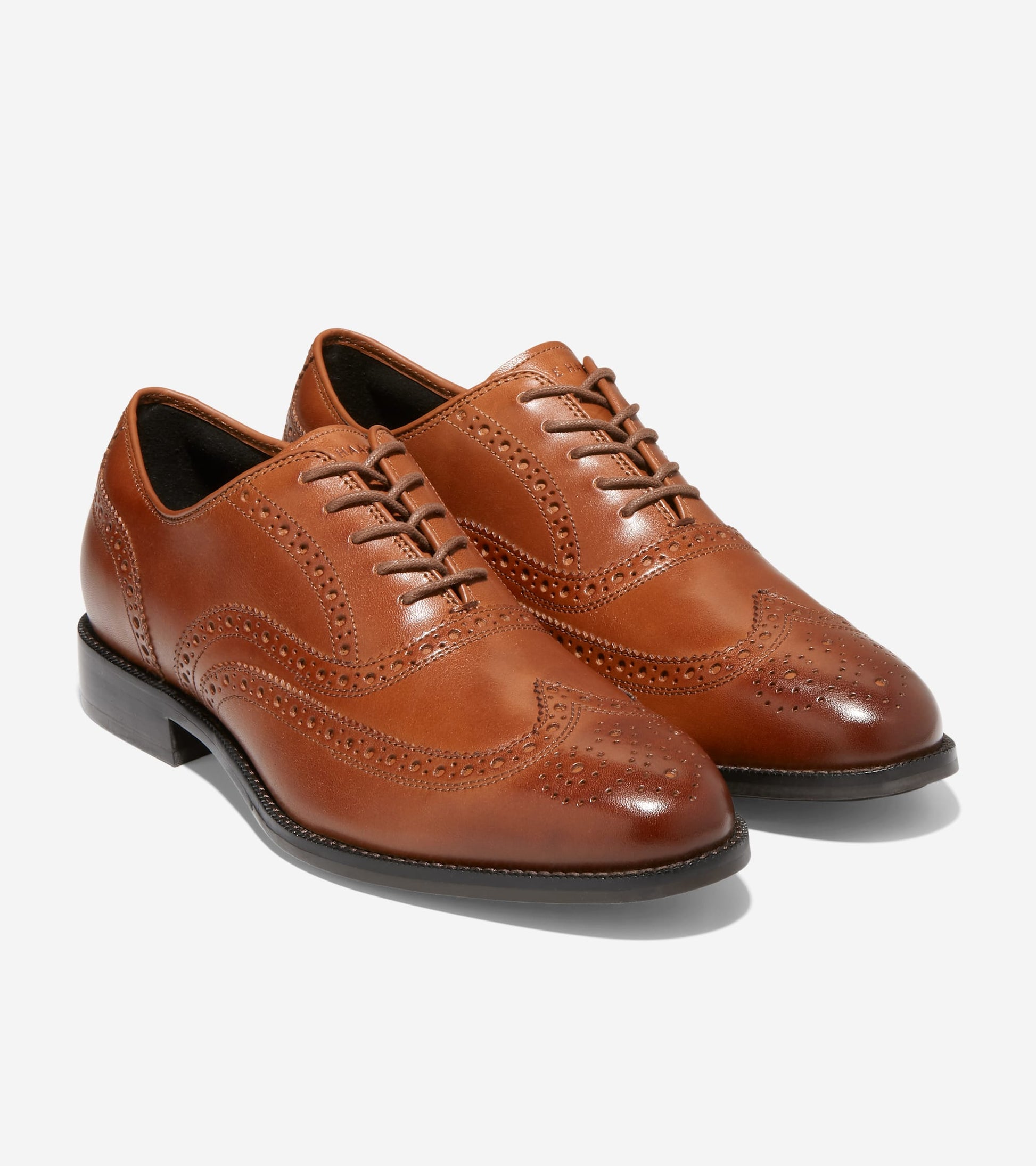 C37617:CH BRITISH TAN/CH DARK CHOCOLATE