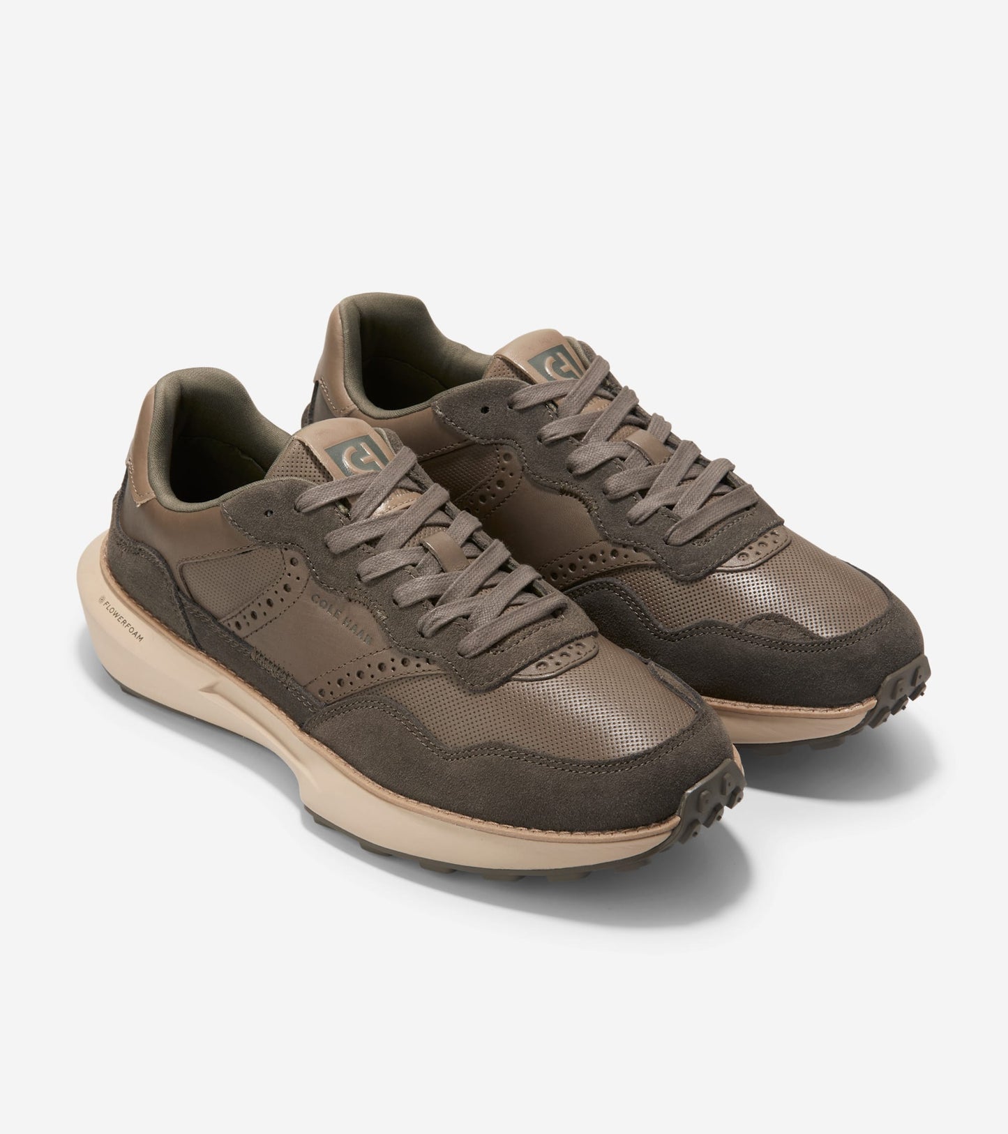 C38474:MOREL/CH DEEP OLIVE/IRISH COFFEE