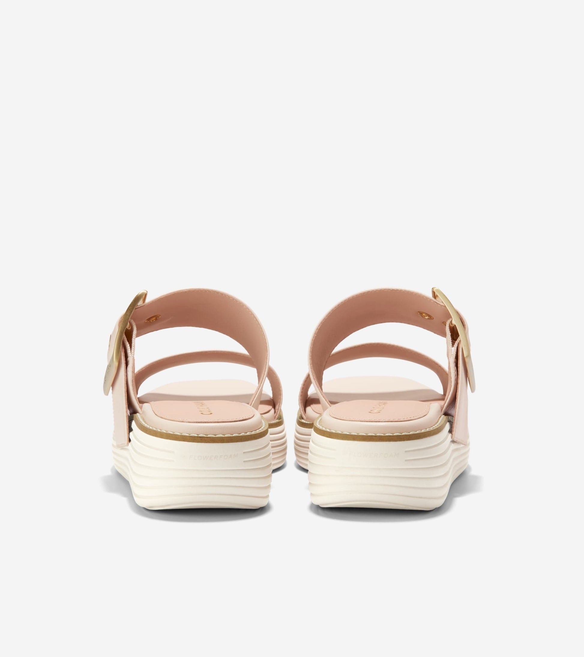 W29422:SANDOLLAR/IVORY