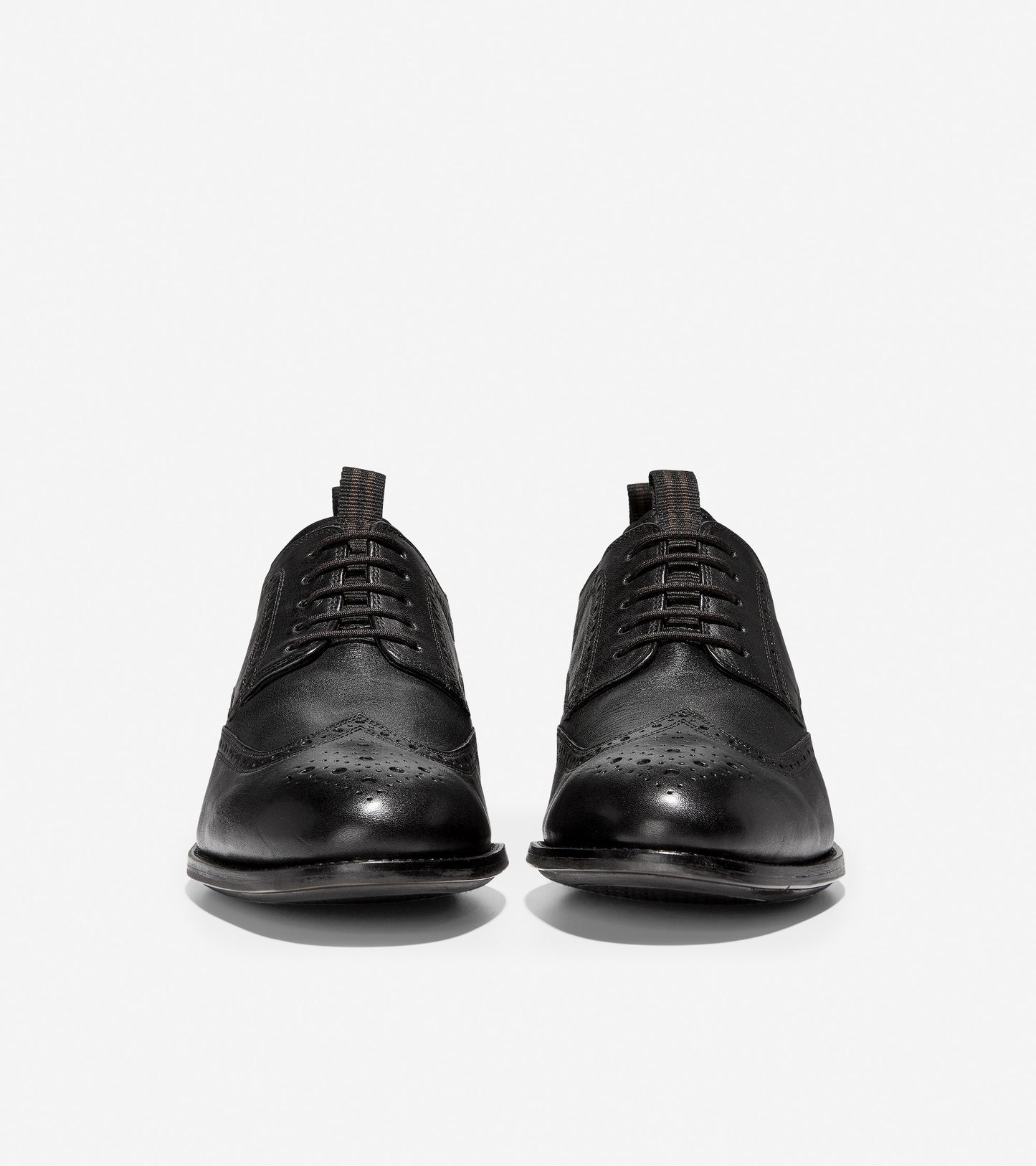 Holland Long Wing Oxford