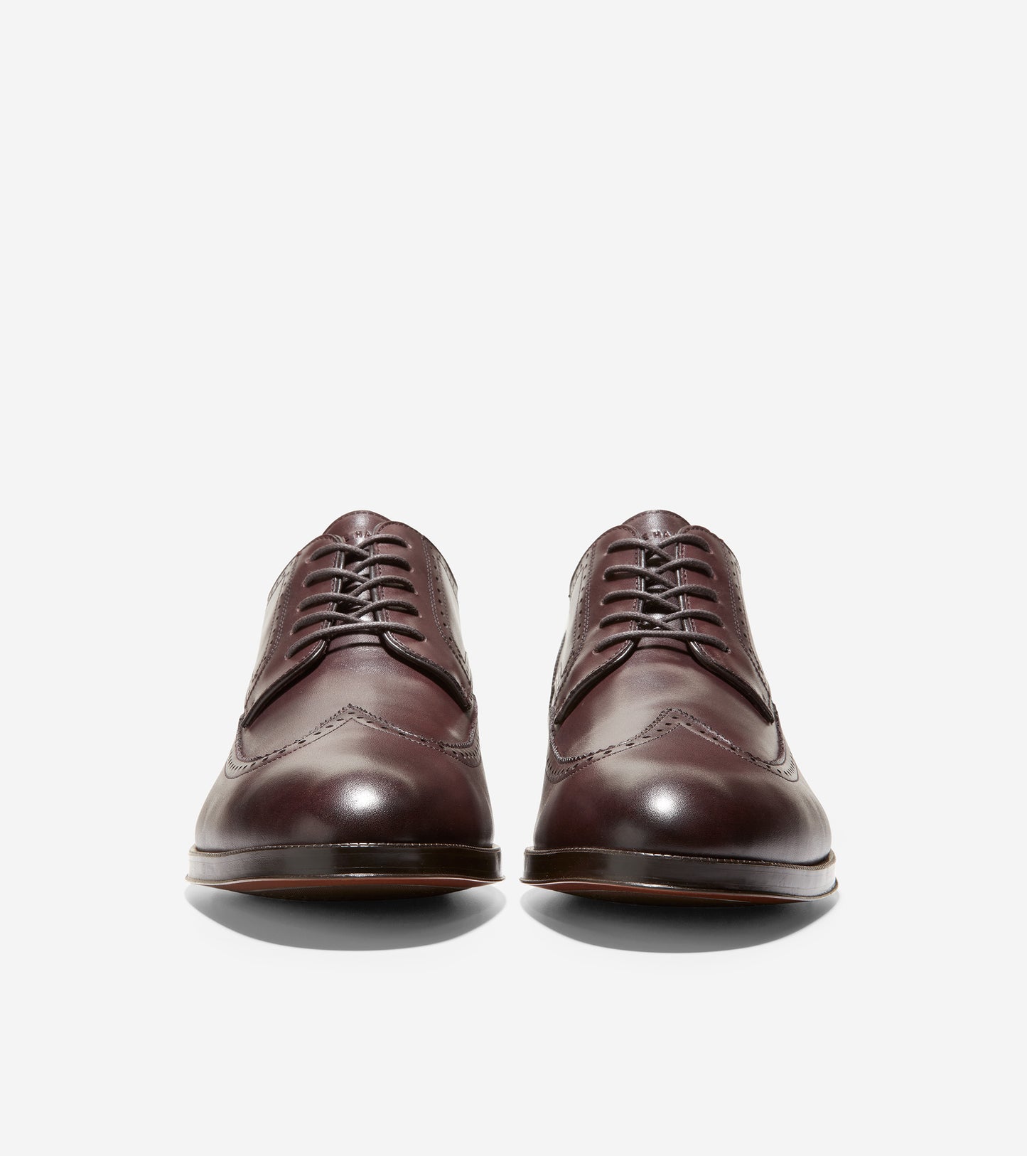 Dawson Grand Wingtip Oxford